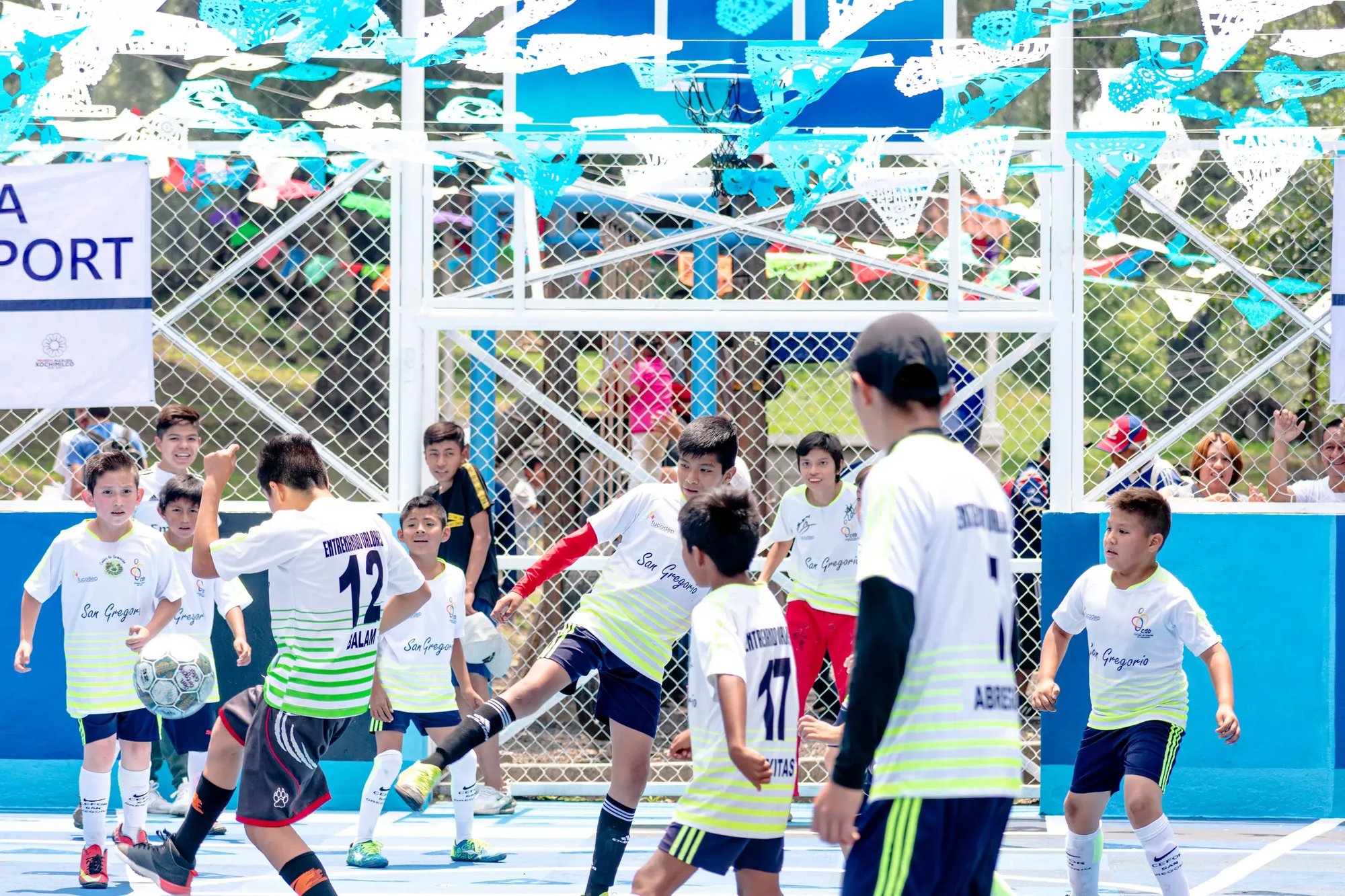 Proyecto Axolotl sports