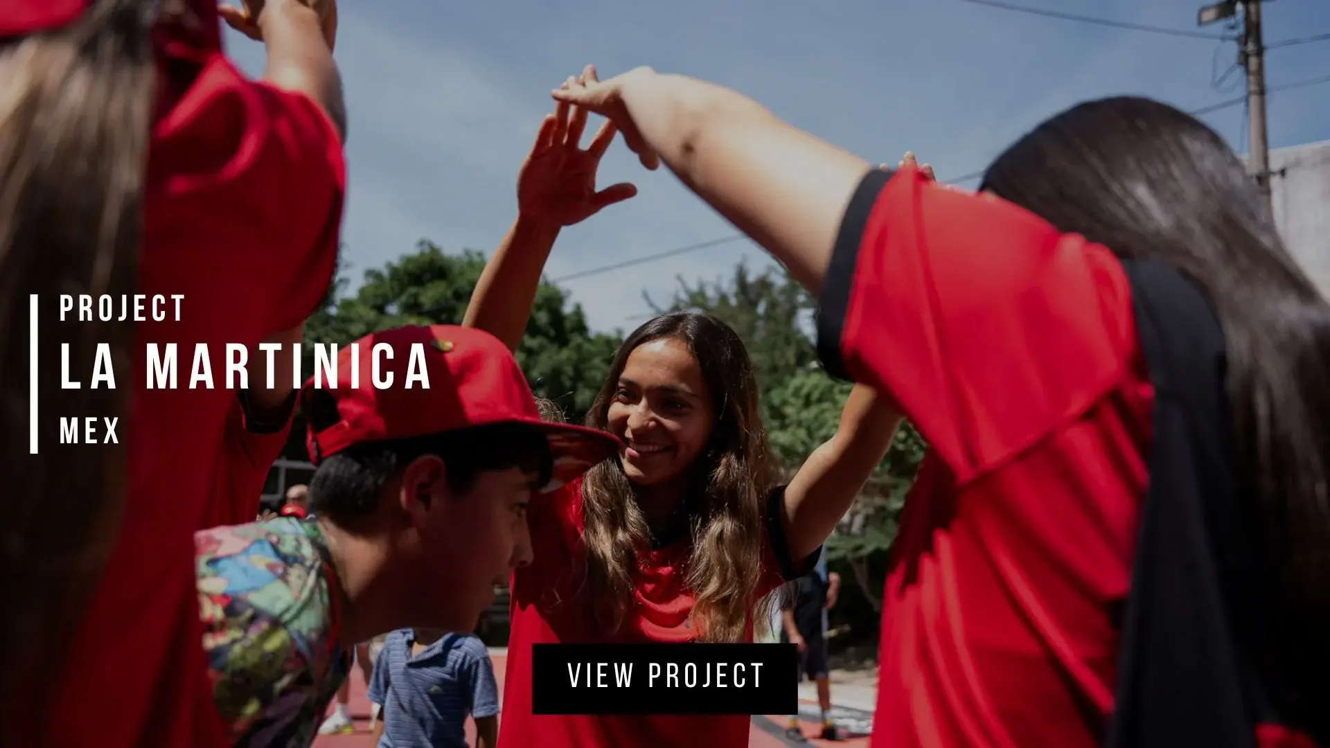 LA MARTINICA project